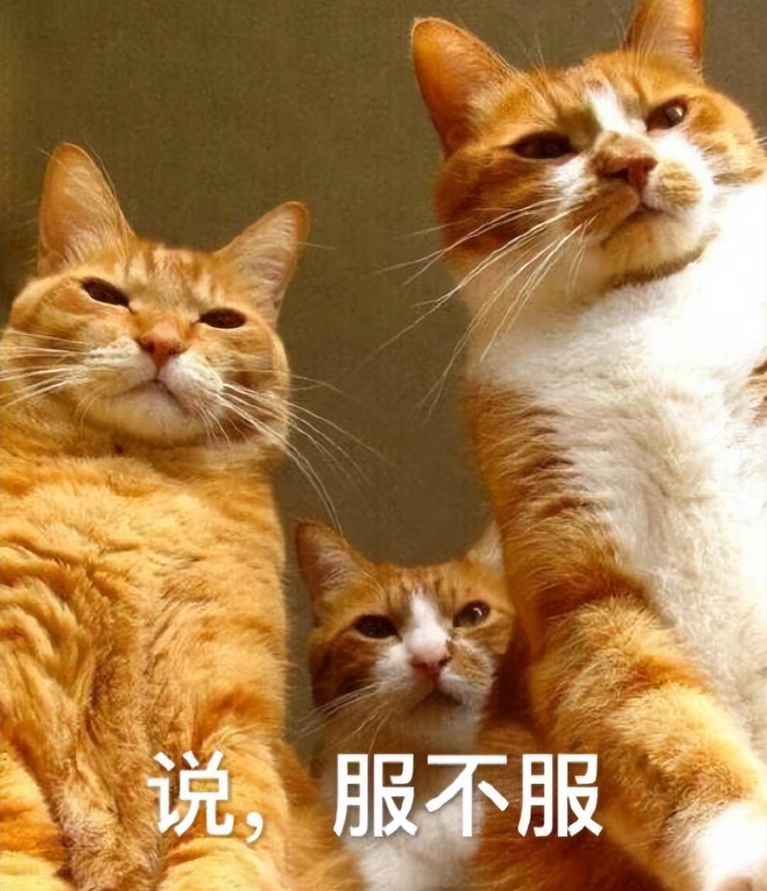 外掛怕了！騰訊《三角洲行動(dòng)》反外掛動(dòng)真格，跨國(guó)抓捕幕后大佬？